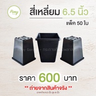 กระถางทรงสี่เหลี่ยม ทรงสูง 6.5x8 นิ้ว สีดำ แพ็ค 50 ใบ