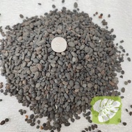 Black Pearl Stone 4mm-11mm Plant Plant Decoration Stone Rock Aquarium Decoration Stone 1KG IOB