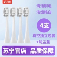 F1/Y1 Universal Soft Bristle Replacement Toothbrush Head F1/Y1 Universal Soft Bristles 2585