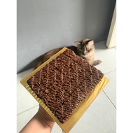 FUDGY BROWNIES BY FUDGY BITES - BROWNIES CAIYAKKKK DI MULUT