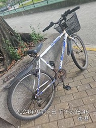 26吋快慢波山地車外賣車