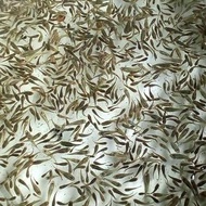 Ikan Cere Sawah Sungai Air Tawar Hidup Pakan Ikan Hias Predator