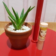 Etude House Kissfull Lip Concealer