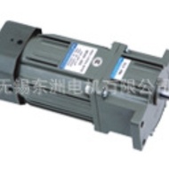 AC Micro Motor Single Phase Fixed Speed Motor Small Wire Stripper Motor 220V AC
