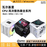 VK Valkyrie AL AQ DL125 R125 CL125 ML125 EL125 DX140 Air Cooling Radiator