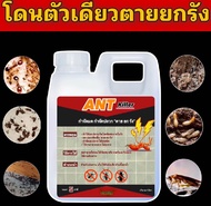 ANT Killer กำจัดมดปลวก ปลอดภัยต่อผู้ใช้และสัตว์เลี้ยง ชีวภาพ100%