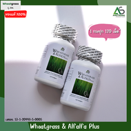 ( 2 กระปุก ) Wheatgrass & Alfalfa Plus 🥦 ผลิตภัณฑ์อาหารเสริม ผักอัดเม็ดแอมสตรอง เม็ดสีดำ ช่วยในการบำ