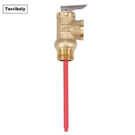 [Torribaly]WYA-20 99C 102PSI 210F WYA-20 0.7Mpa to Valve 3/4 Inch Temperature and Pressure Relief Va