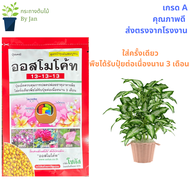 ออสโมโค้ท สูตร 13-13-13 (Osmocote 13-13-13)