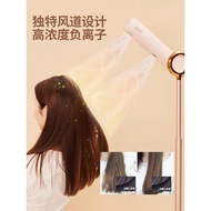 🔥New Household Standing hairdryer 全新品仕乐站立式吹风机 站式吹风机 方便快速吹风机 懒人吹风机