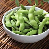 เมล็ดพันธุ์ ถั่วแระญี่ปุ่น คาริคาชิ (Karikachi Edamame Seed) บรรจุ 15 เมล็ด คุณภาพดี ของแท้ 100%