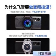 飛智B6 背夾手機熱器 智能溫控 急速降溫 半導體熱 安卓iPhone蘋果游戲手柄