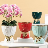 8. Light Luxury Drawing Gold Ceramic Flowerpot Nordic ins Style Creative Household Flowerpot Ceramic