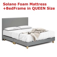 Solano Package: Solano Foam Mattress + Solomon BedFrame in QUEEN Size