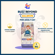 Buzz Beyond อาหารแมว Premium Gluten-Free รวมทุกรสชาติ 7kg.