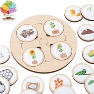 Tree year Montessori Life Cycle Puzzle Board Kit, Life Cycle Puzzle Kit of Animals, Plants and Insects, Toddler Puzzle
