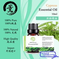 Cypress Essential Oil Cypress Essential Oil 10ml Essential Oil Incense Fresh Air