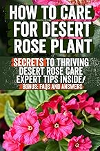 How to Care for Desert Rose Plant: Comprehensive Guide for Growing, Potting, Watering, Pruning, and