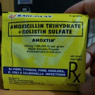 Sagupaan Amoxtin powder (1sachet)