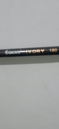 Ogawa ivory