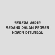 LEGO DUPLO 10442 Wild Animal Families: Penguins & Lions (10 Pieces)