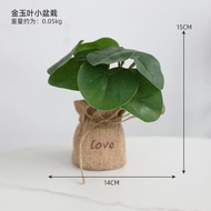 3pcs Artificial Plant in Small Burlap Bag Vases - Faux Plant Farmhouse Home Coffee Table Bookshelf Office Desk Decorations Kitchen Dining Room Fake Plants Indoor