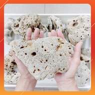 [1KG] Big Coral Stone For Aquarium Filter Media Batu Karang Besar  Fish Tank Sea Coral Bone Batu Kar