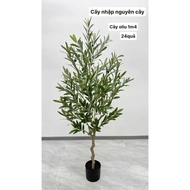 Olive tree / fake leaf tree (decor)