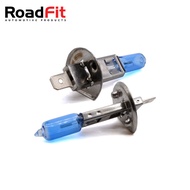 H1 12V 70W P14.5S E13 Super White High Power Halogen Bulbs for Car, 2 Pieces 1124WM-H1