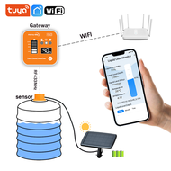 Morayelec ME201RSP Tuya App LED Display Solar Panel Wireless Long Distance Temperature Display Water