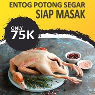 Entok Potong - Daging Entok - k Entok - Nila Potong / Hidup