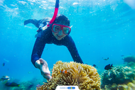 2D1N Open Trip Pulau Harapan Start Marina by GoExplore