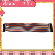 Raft Cable (2.54mm) 40 pin to 40 (female-female) 20 cm (2.54mm) 40 40 20