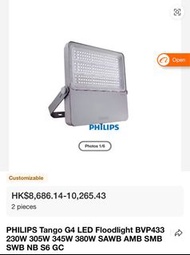 PHILIPS Tango G4 LED 泛光燈 305w 4000k IP65 不連盒
