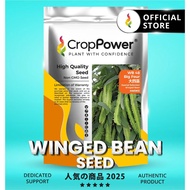 (500 GRAM) Biji Benih Kacang Botol Big Four 大四喜 WB48 CROP POWER Winged Bean seeds 四棱豆  WB 48