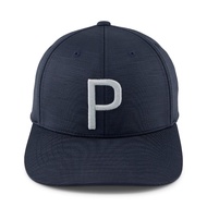 AH25 Boy's P Cap Ash Gray