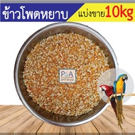 [ชนิดแบ่งขาย 10กก]  ข้าวโพดหยาบ_สำหรับสัตว์เลี้ยง นก ไก่.