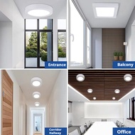 LED downlight Ceiling Pin Light Ceiling Light Down light surface-mounted 6W/12W/18W/24W White light