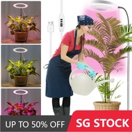 Grow Lights 72LEDs Full Spectrum Plant Light 3 Light Modes Plant Grow Light 10-Level Dimmable 3/9/12