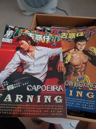 古惑仔漫畫系列