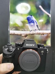 SONY A9 ILCE-9   收購各類型相機及鏡頭，價錢合理 welcome trade in camera and lens