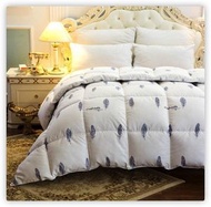 全城熱賣 - 雙人鵝絨被羽絨被芯（200*230-8磅）（羽毛-白）