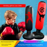 160cm Boxing Punching Bag Boxing Muay Thai Inflatable Water Injection Boxing Bag Training