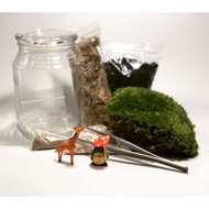 Terrarium DIY kit for beginners or DIY Kit for science projects for student