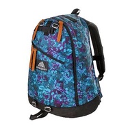 Gregory 藍花26L  換黑花