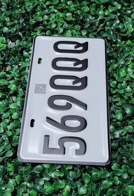 TEMPORARY MOTOR PLATE