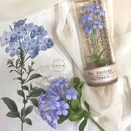 | 花の圖鑑─試管系列 | 藍雪花/ 擬真黏土花