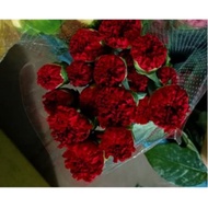 Fresh Flower from Cameron Highlands - farm to home - Carnation x 20 stems