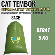 Cat tembok 5 kg promo