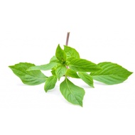 < 168all > 50ml Food Grade Nine-Floor Tower Fragrance